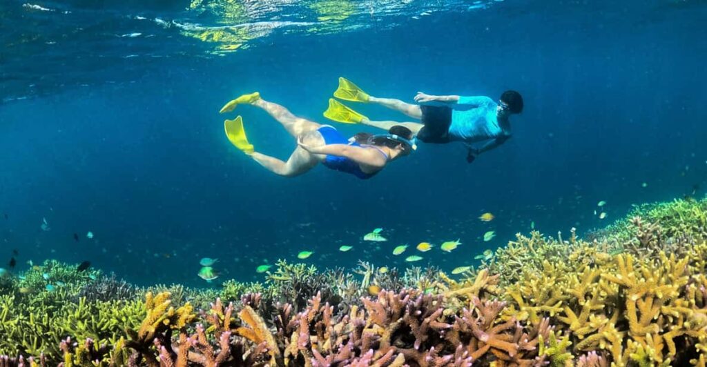Aktivitas Seru Bareng Pasangan: Snorkeling, Tracking, dan Healing di Lombok