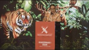 Deforestasi Legal Tinggi Mengancam Masa Depan, Saatnya Bersikap Tegas Demi Hutan Indonesia