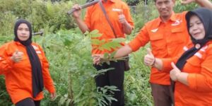 Satu Tahun Menguat, Gerakan Rakyat Kalteng Tunjukkan Aksi Nyata Melalui Gerakan Tanam Pohon