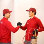 Jasa Anti Rayap Bandung Profesional, Solusi Tepat Lindungi Rumah dari Kerusakan