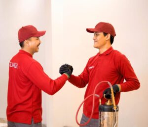 Jasa Anti Rayap Bandung Profesional, Solusi Tepat Lindungi Rumah dari Kerusakan